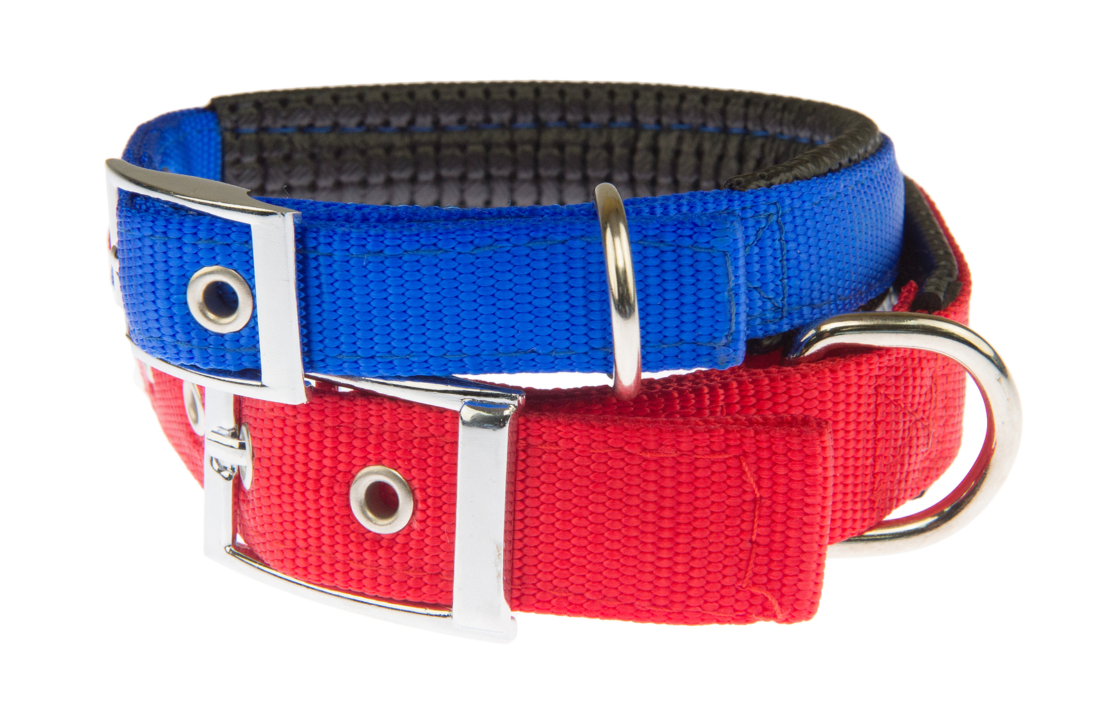 padded dog collars