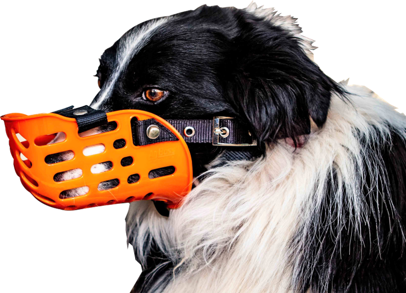working dog muzzles australia