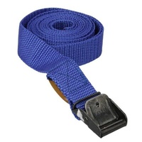 AgBoss FASTY Strap 2m x 25mm Blue 400kg