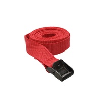 AgBoss FASTY Strap 2.5m x 25mm Red 400kg