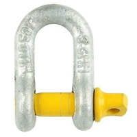 D Shackle 10mm Load Rated
