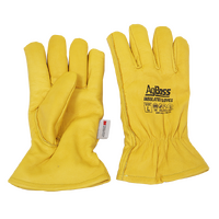 Agboss 3M Thinsulate Leather Gloves | L  