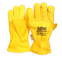 Agboss 3M Thinsulate Leather Gloves | M 