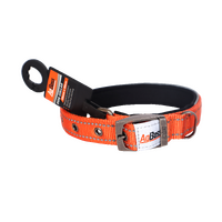 AgBoss Orange  Dog Collar | 25mm x 50cm (20")  