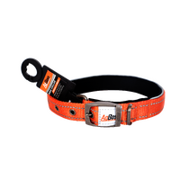 AgBoss Orange  Dog Collar | 25mm x 55cm (22")