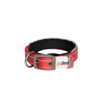 AgBoss Red Dog Collar | 25mm x 45cm (18") 