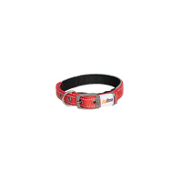 AgBoss Red Dog Collar 25mm x 55cm (22")
