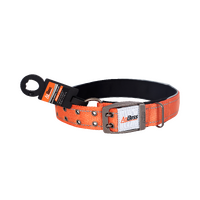 AgBoss AgBoss Orange Dog Collar | 40mm x 70cm (28")