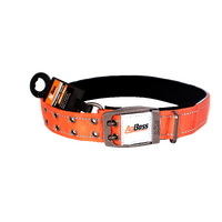 AgBoss Orange Dog Collar | 40mm x 75cm (30")  