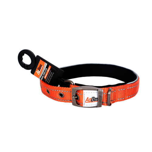 AgBoss Orange  Dog Collar | 25mm x 55cm (22")