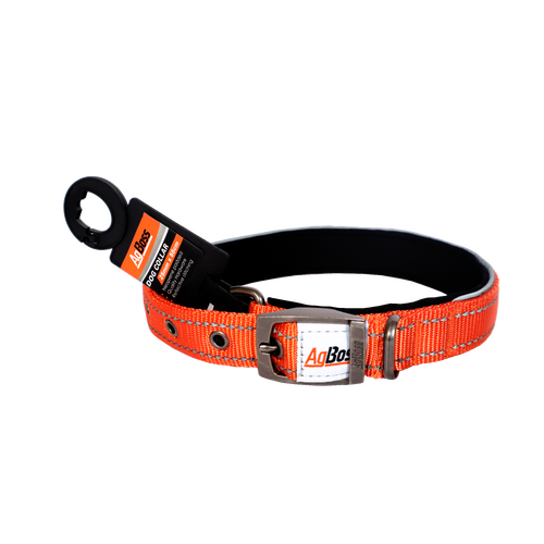 AgBoss Orange  Dog Collar | 25mm x 55cm (22")