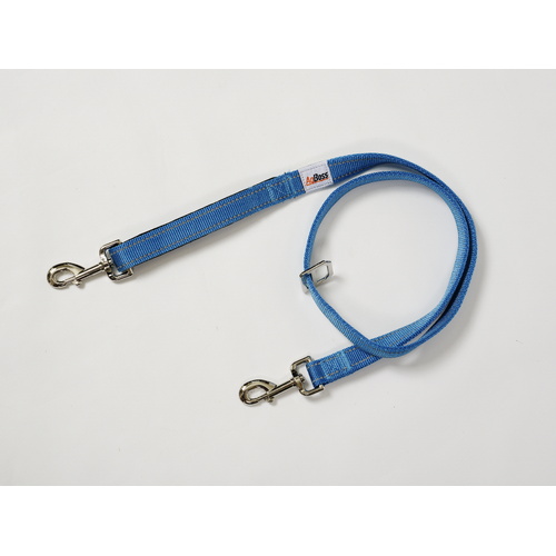Dog Lead 25mm x 120cm (48") AgBoss Blue