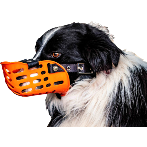 AgBoss Working Dog Muzzle - Plastic