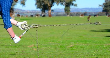 Fencing